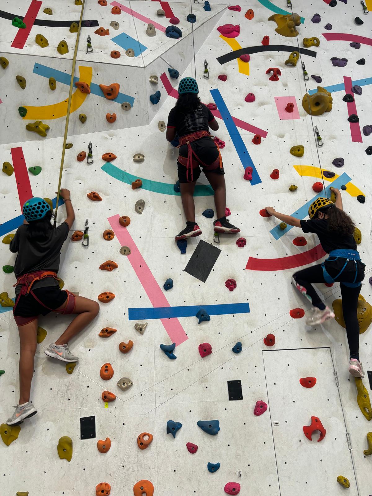 visita-rocodromo-proyecto-ibecchi-pinardi-boscosocial