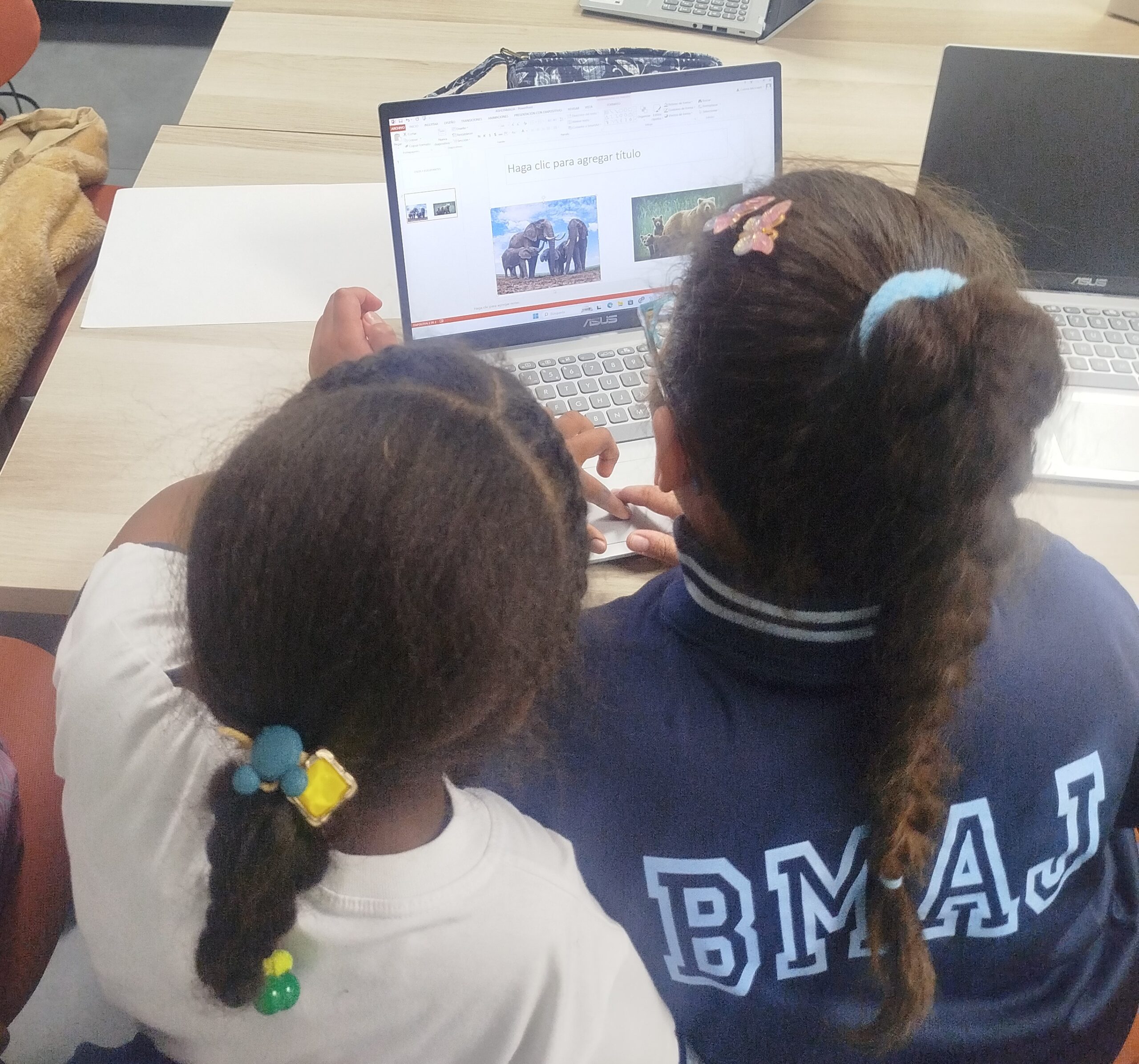 Programa CODI Pinardi