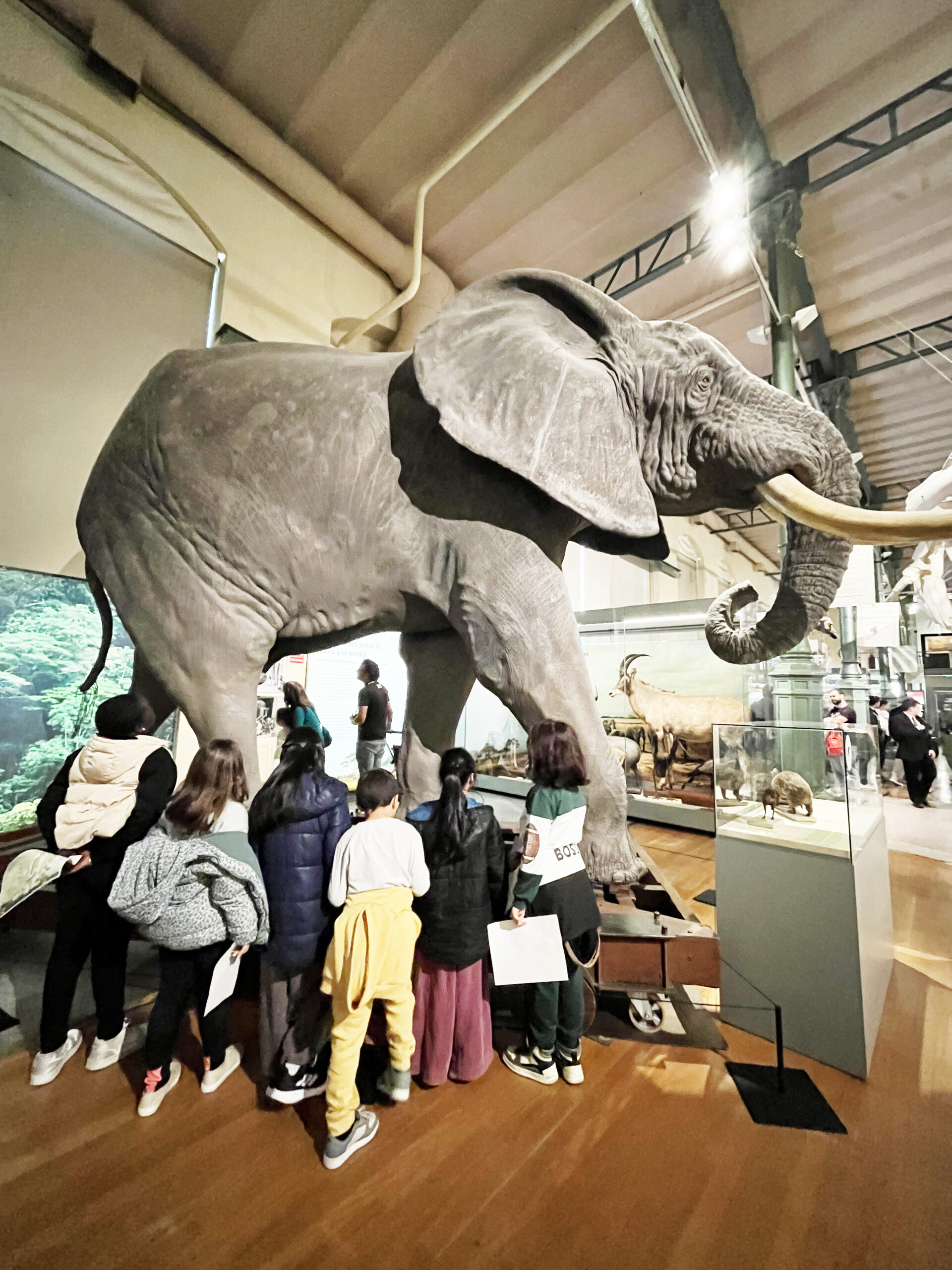Visita al museo con los niños y niñas de Pinardi durante los campamentos de Semana Santa. 